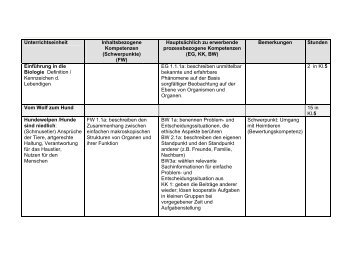 Arbeitsplan Klassen 5 und 6 (Download)