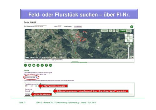 Feld- oder Flurstück suchen - Amt für Ernährung, Landwirtschaft und ...