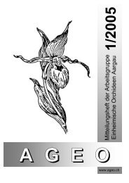 2005_1.pdf - AGEO