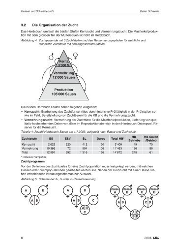 Daten Schweine Ausgabe 2004.indd - agrigate.ch