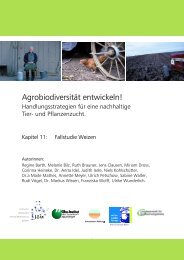 Fallstudie Weizen - Agrobiodiversität entwickeln