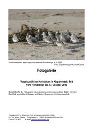 Herbst 2009 (5,18 MB) - Akademie am Meer