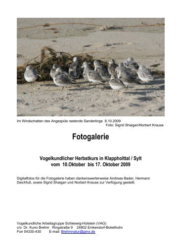 Herbst 2009 (5,18 MB) - Akademie am Meer