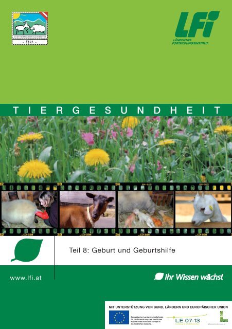 Teil 8 08 Geburt und Geburtshilfe - Landesverband Bayerischer ...