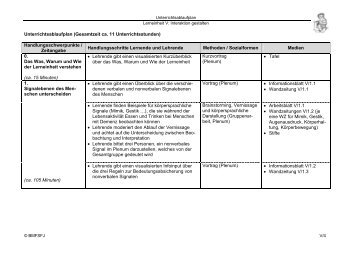 Unterrichtsablaufplan (Gesamtzeit ca. 11 Unterrichtsstunden ...