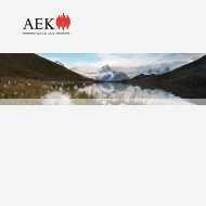 Geschäftsbericht 2012 (pdf) - AEK Bank 1826