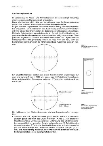 V o r l e s u n g  Chemie II