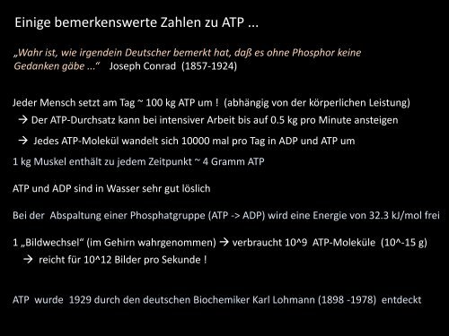 ATP Synthase-Partikel