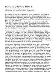 ausführlichen Bericht als PDF