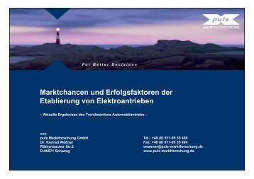 Marktchancen und Erfolgsfaktoren der Etablierung von ...