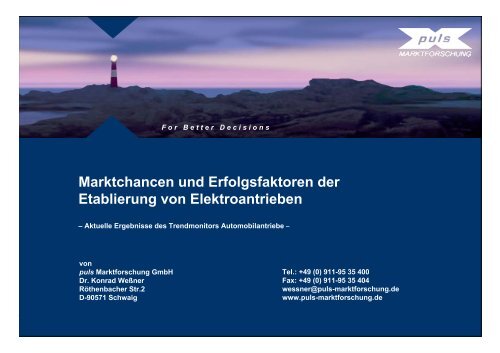 Marktchancen und Erfolgsfaktoren der Etablierung von ...