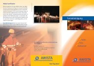 AWISTA Flyer - Tunnelreinigung