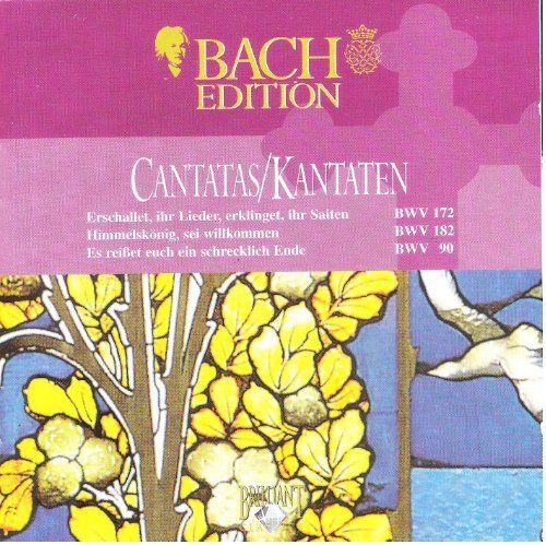 Bach Cantatas, Vol. 3 - P.J. Leusink (Brilliant Classics 5-CD)