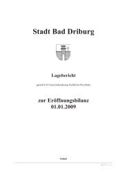 Stadt Bad Driburg