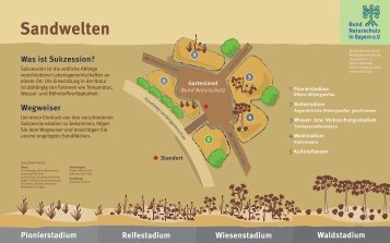 Was ist Sukzession? - Bund Naturschutz in Bayern eV