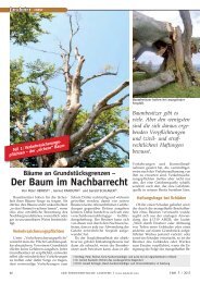 Der Baum im Nachbarrecht - baumwert.at