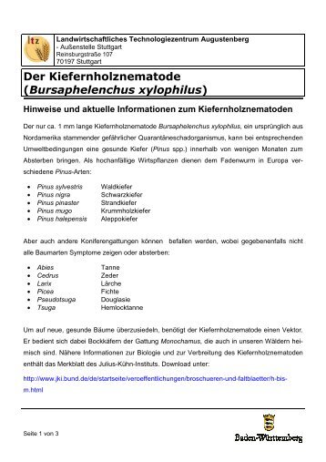 Hinweise und aktuelle Informationen zum Kiefernholznematoden