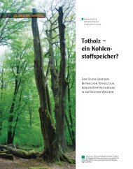 Totholz – ein Kohlen- stoffspeicher? - BayCEER