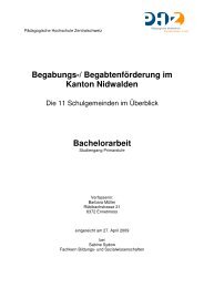 Bachelorarbeit mit Anhang - Netzwerk Begabungsförderung