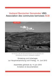 VBG_Info_1_2013 - BEGEM