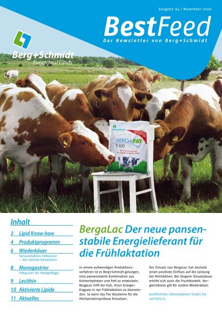 Deutsch (PDF 580 KB) - Berg + Schmidt