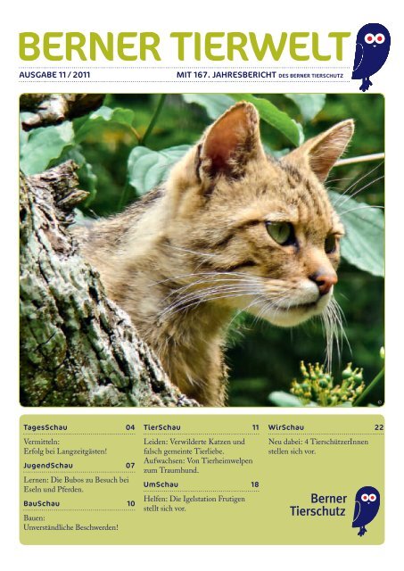 Ausgabe 1/2011 - Berner Tierschutz