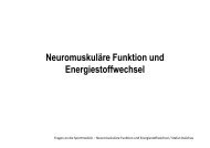 Neuromuskuläre Funktion und Energiestoffwechsel