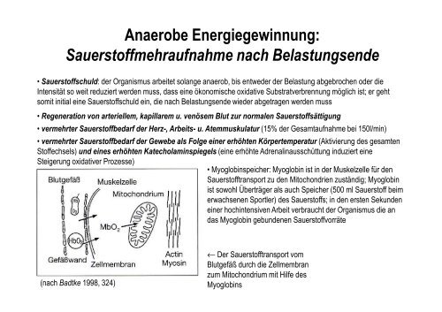 Organsysteme 1