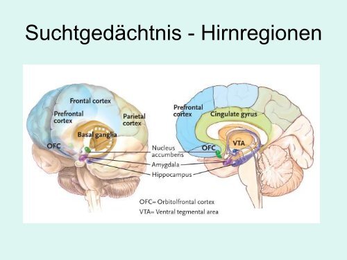Medikamentöse Suchttherapie - PD Dr. med. Jürgen Unger (PDF)
