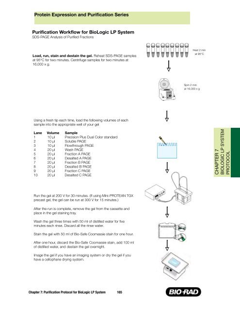 Protein Expression and Purification Series - Bio-Rad