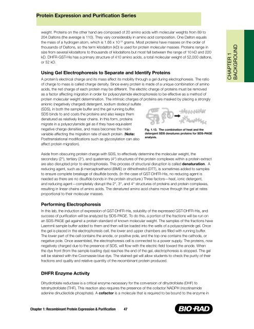 Protein Expression and Purification Series - Bio-Rad