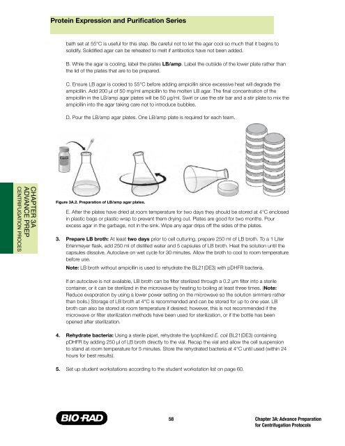 Protein Expression and Purification Series - Bio-Rad