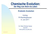 Chemische Evolution: Der Weg vom Atom ins Leben