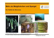 Schneckenburger_Monocots_ 2009 - Fachbereich Biologie der TU
