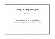 Biologie der Biogaserzeugung - Biogas-Infoboard