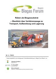 Rüben als Biogassubstrat – Überblick über Verfahrenswege zu ...