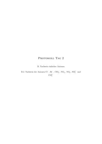 Protokoll Tag 2 (PDF)
