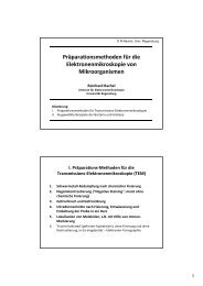 Präparationsmethoden für die Elektronenmikroskopie von ...