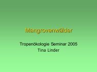 Mangrovenwälder