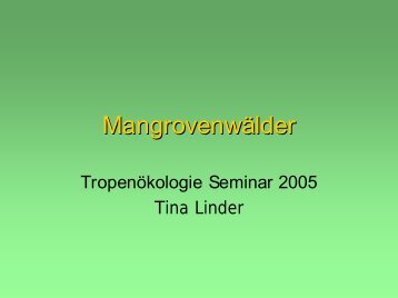 Mangrovenwälder