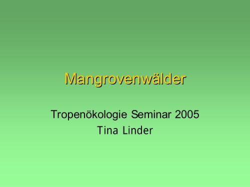 Mangrovenwälder