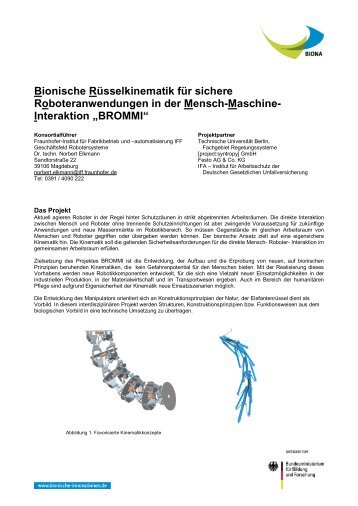 BROMMI-Projektblatt BIONA-1