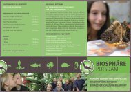 Biosphäre Schulflyer (pdf)