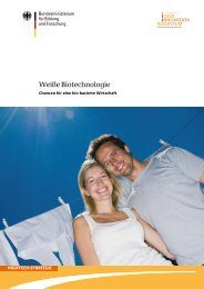 Weiße Biotechnologie im Überblick - Biotechnologie.de