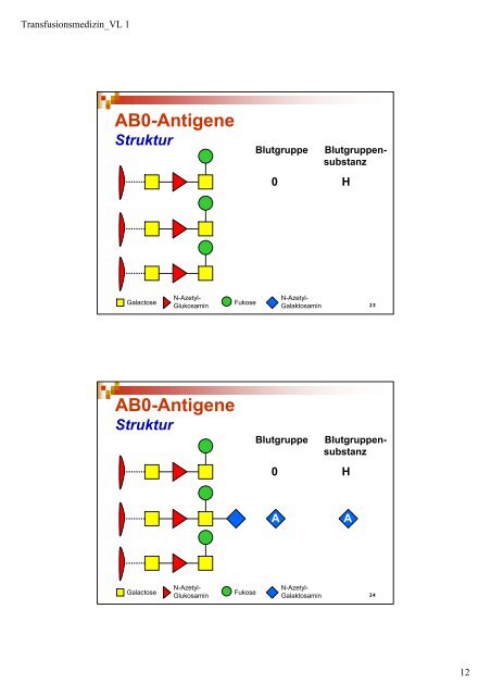 Schwerpunkte - Institut für Transfusionsmedizin