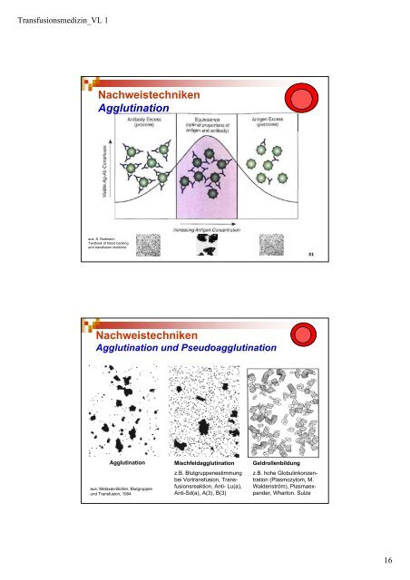 Schwerpunkte - Institut für Transfusionsmedizin