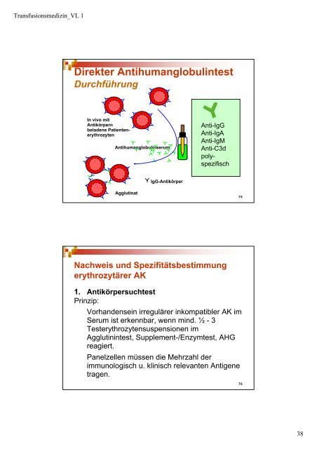 Schwerpunkte - Institut für Transfusionsmedizin