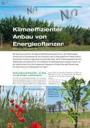 Klimaeffizienter Anbau von Energiepflanzen - BMELV-Forschung