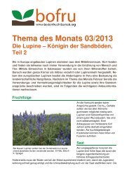 Thema des Monats März (.pdf) - Bodenfruchtbarkeit