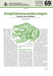 Amphibienwanderungen - Biologische Schutzgemeinschaft Hunte ...